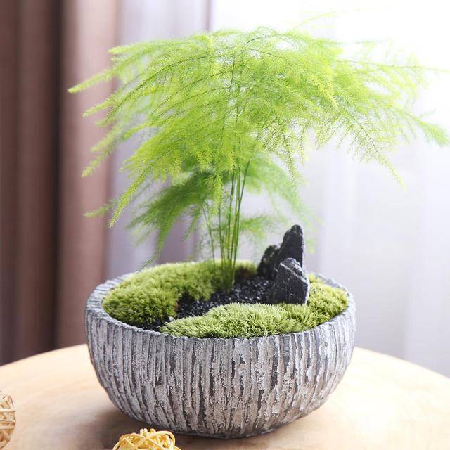 1628070844925048.jpg src=http_%2F%2F5b0988e595225.cdn.sohucs.com%2Fq_70,c_zoom,w_640%2Fimages%2F20171211%2Fe9d5f33ad9f54f9ab3a660334a4df265.jpeg&refer=http_%2F%2F5b0988e595225.cdn.sohucs.jpg